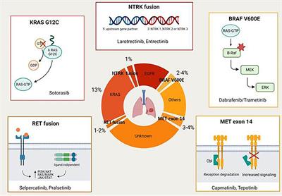 Beyond Conventional: The New Horizon of Targeted Therapy for the Treatment of Advanced Non Small Cell Lung Cancer